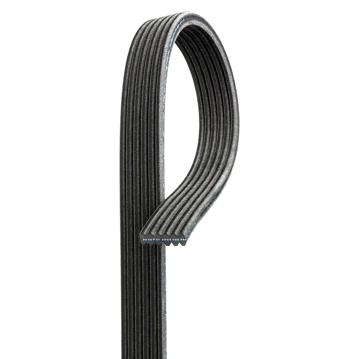 ACDelco 8DK555 Professional Serpentine Belt 