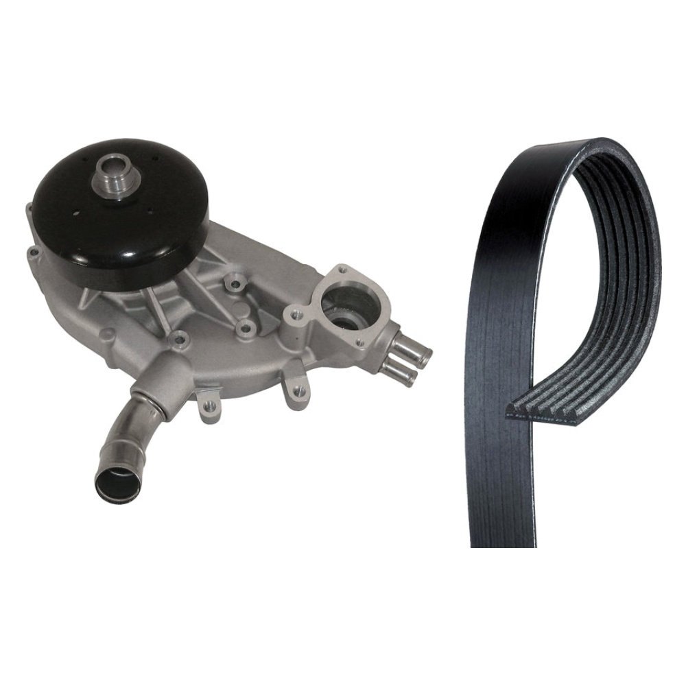 6K335SF AC Delco Serpentine Belt For F150 Truck Ford - View #7