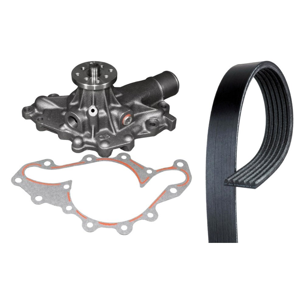 6K335SF AC Delco Serpentine Belt For F150 Truck Ford - View #4