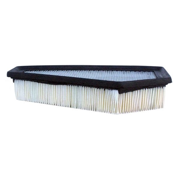 ACDelco® - Cadillac CTS 2010 Professional™ Air Filter