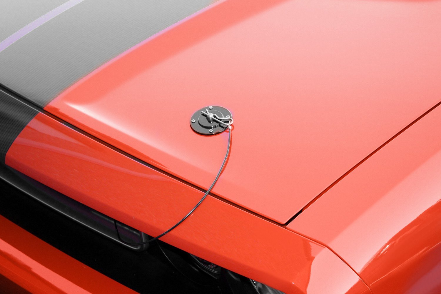 AMI 5110K Striker Style Black Hood Pins