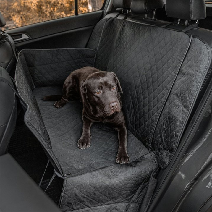 Dog Sitting On Seat Cover