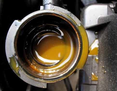 Antifreeze Become Brown