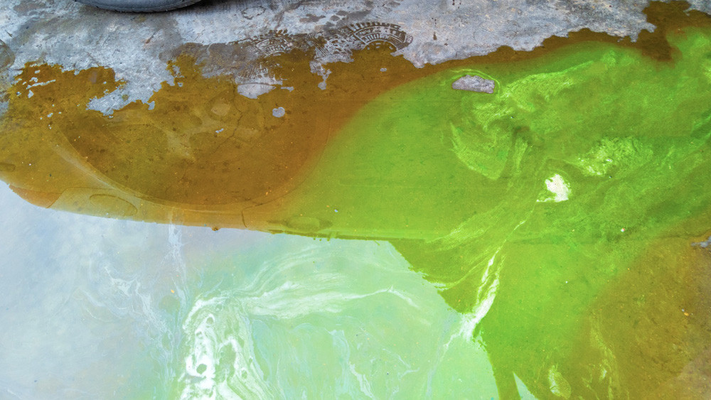 coolant leak puddle