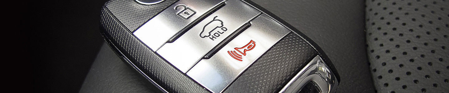 Car Alarms & Remote Start