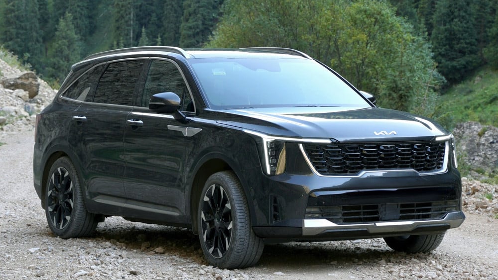 kia sorento in a forest