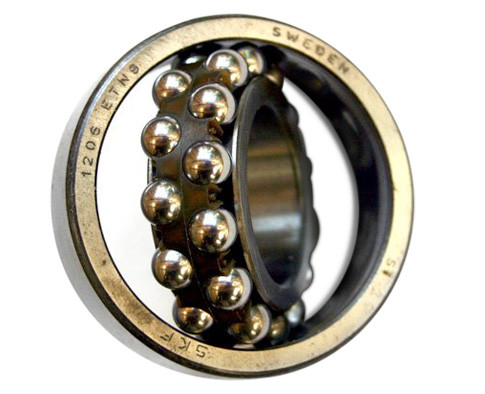 Self Aligning Bearing