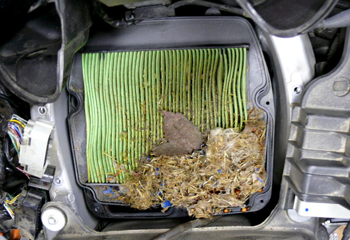 Excessively Clogged Air Filter