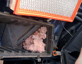 Pulling Out Air Filter For Inspection