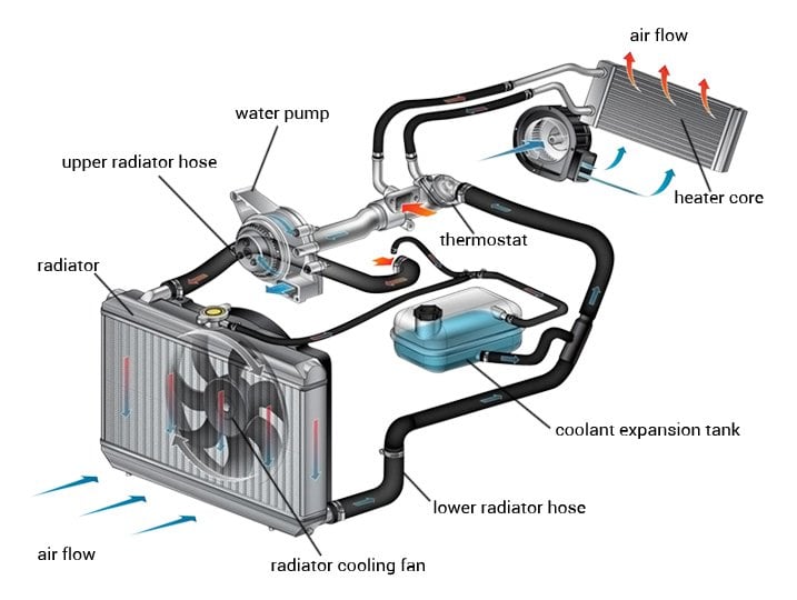 hoses in car