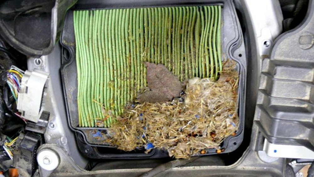 A clogged engine air filter