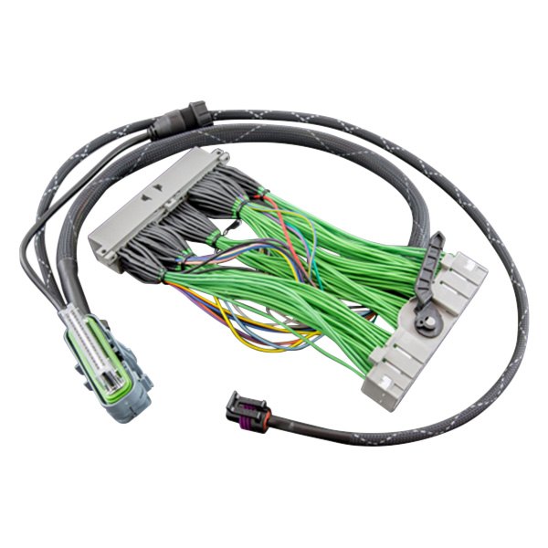 Boomslang® BF14042 AEM™ Plug and Play Harness