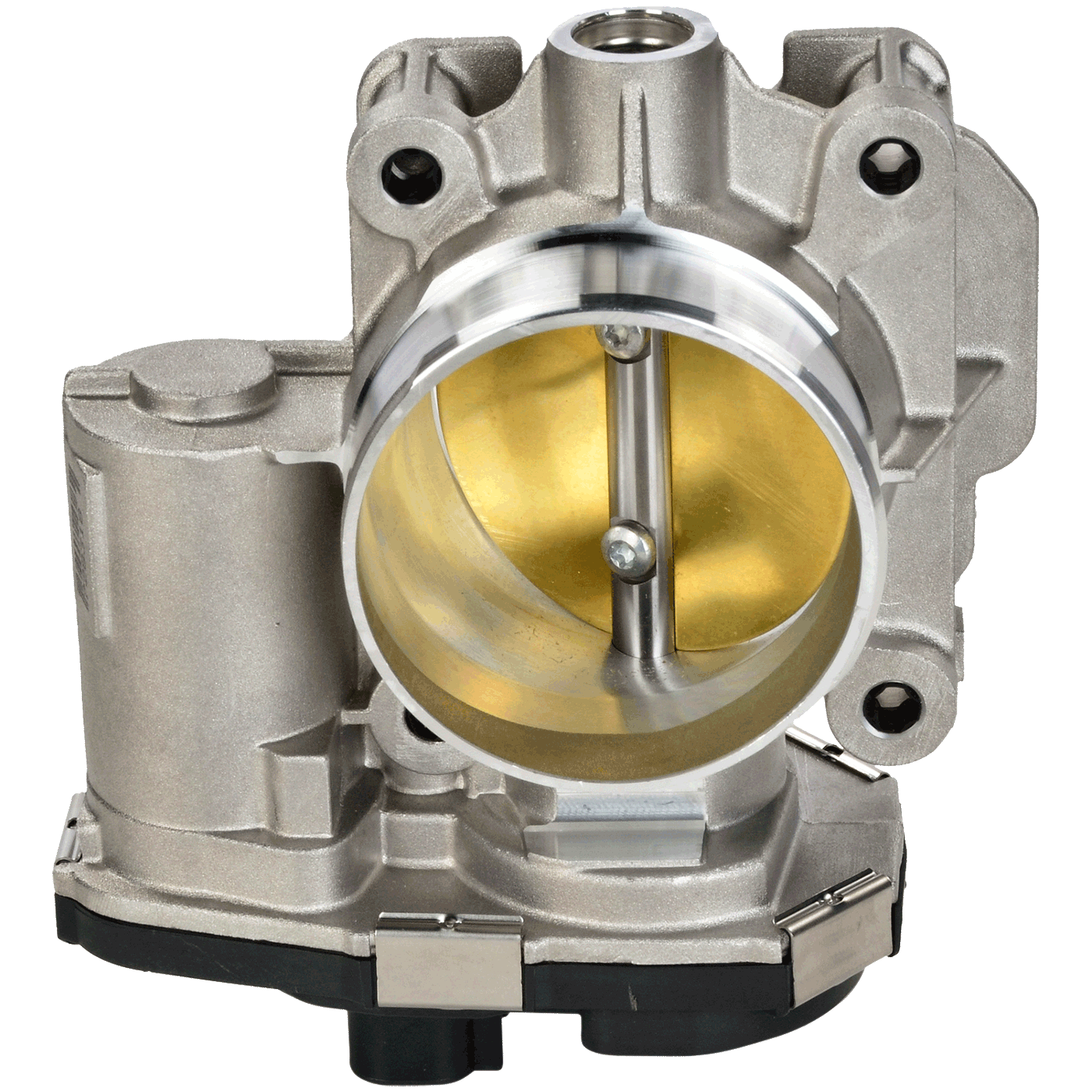 OE Throttle Body