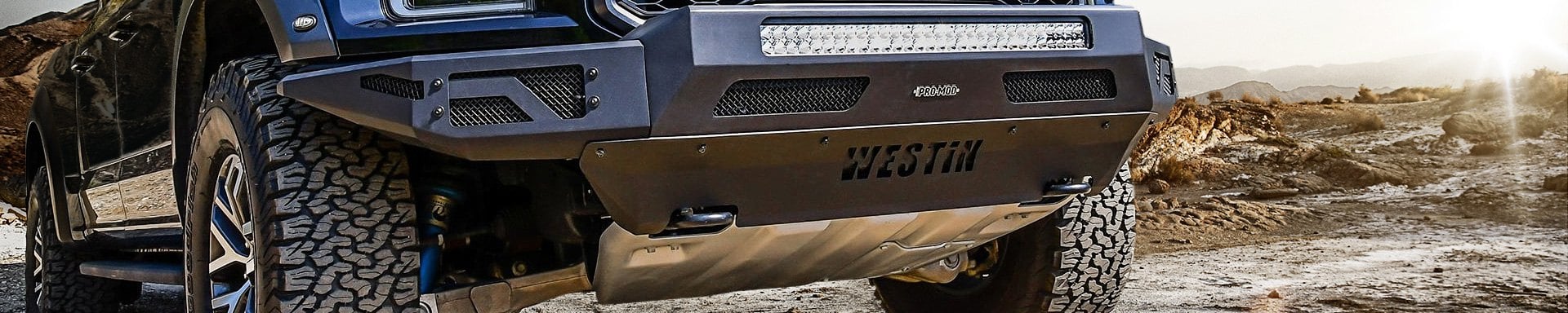 Westin Bug Deflectors
