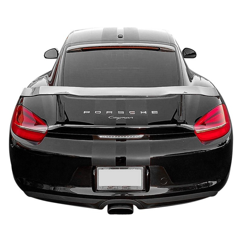 D2S® P981C-W2-PAINTED - GT1 Style Fiberglass Taller Rear Wing (Painted)