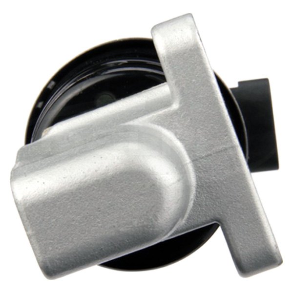 Delphi EG10172 EGR Valve