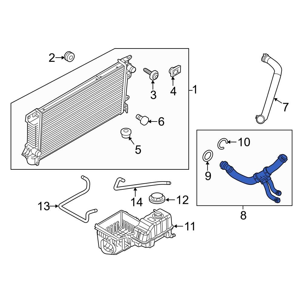 Ford OE BL3Z8286A - Lower Radiator Coolant Hose