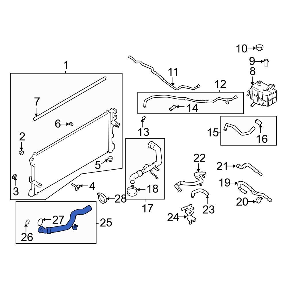 Ford OE MB3Z8286E Lower Radiator Coolant Hose