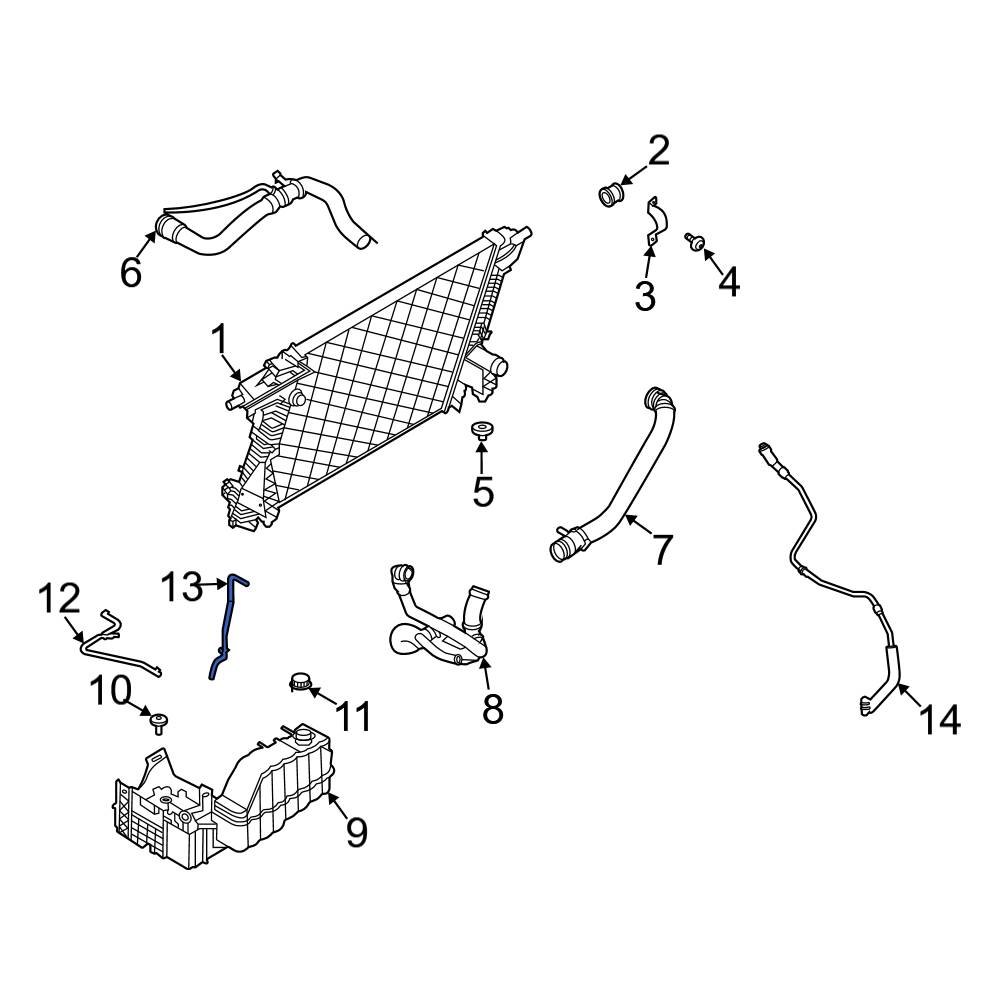Ford OE LC3Z8N029B Engine Coolant Overflow Hose