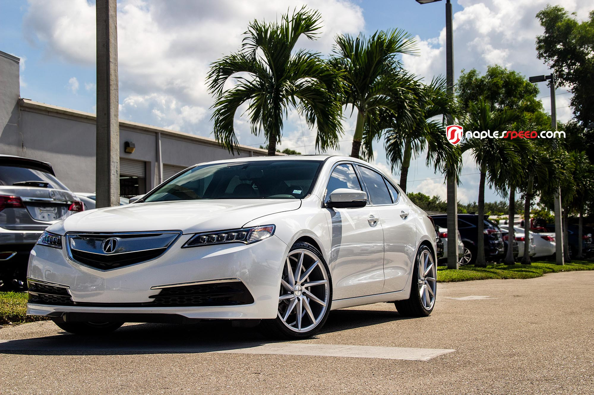 Vossen VVSCVT Custom Wheels on Acura TLX - Photo by Vossen