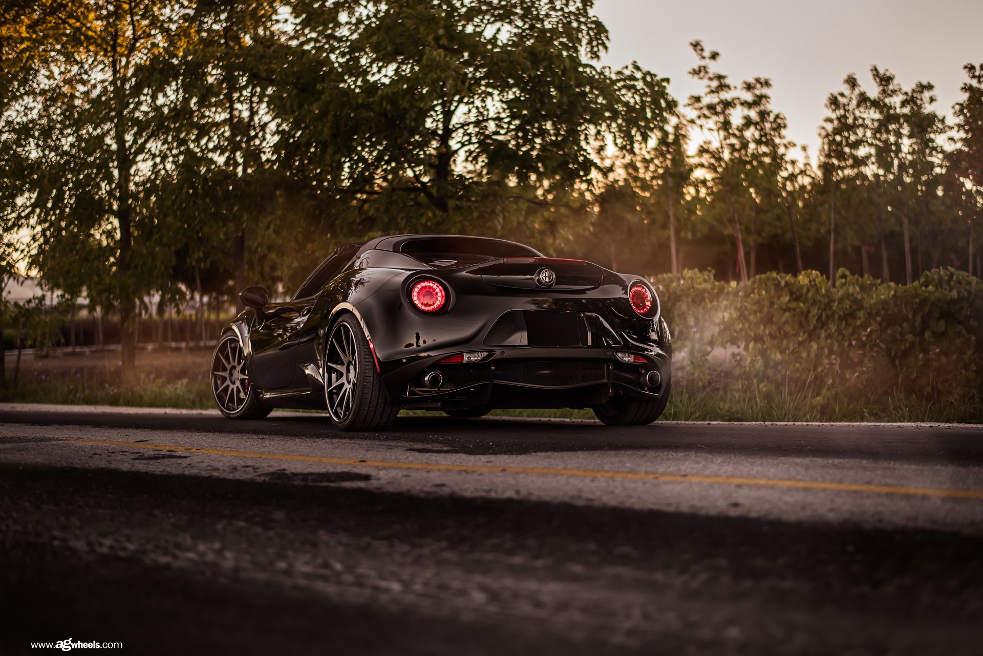 Alfa Romeo 4c stance