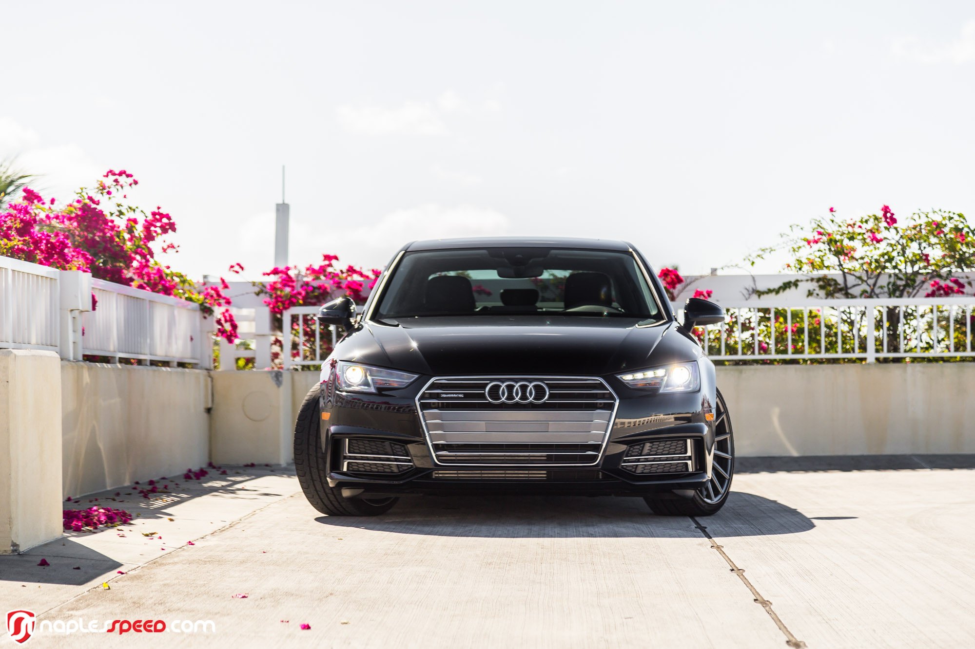 Audi A4 on Graphite Vossen VFS2 Wheels - Photo by Vossen