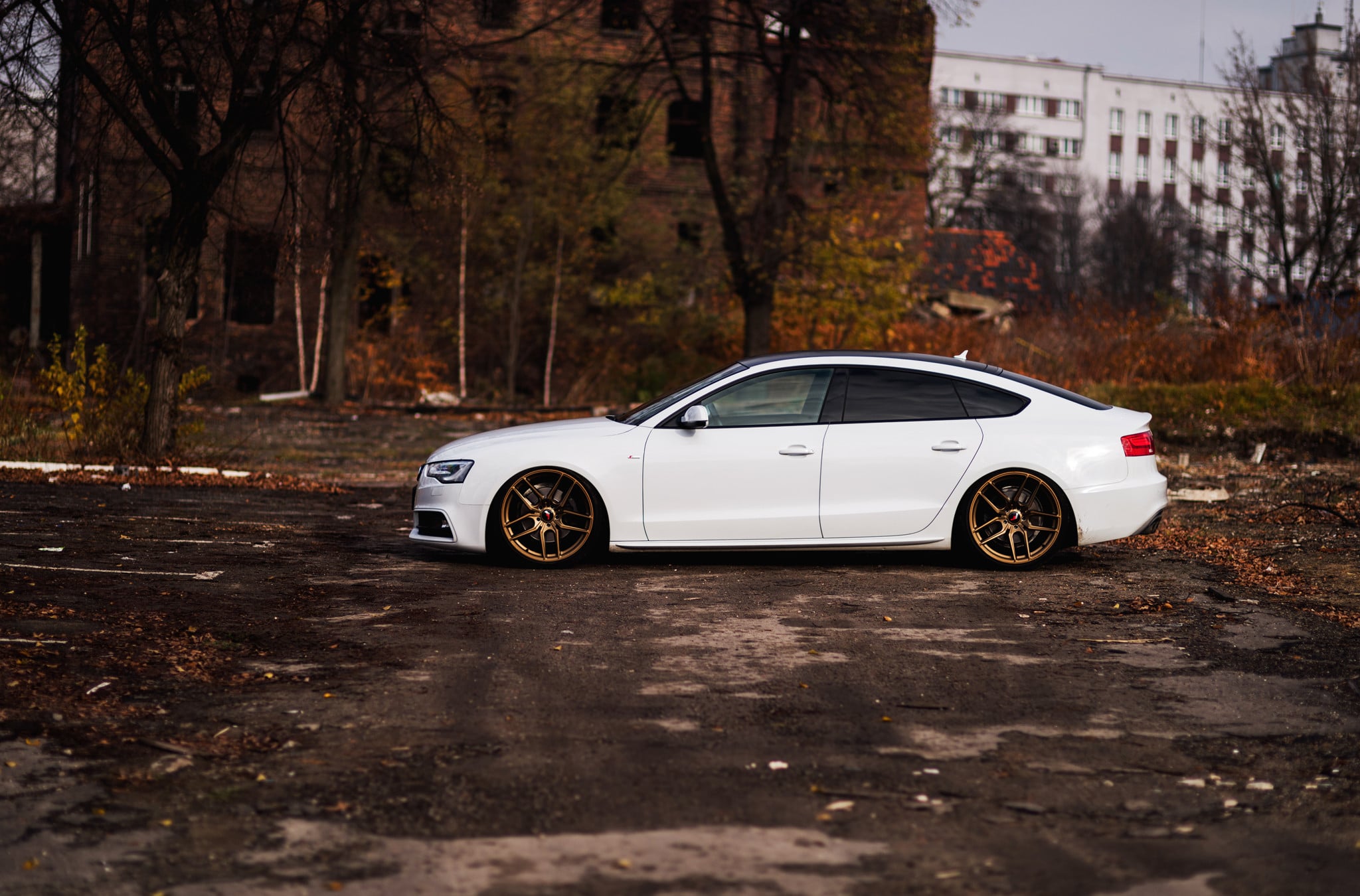 Custom White Audi A5 Side Skirts - Photo by JR Wheels