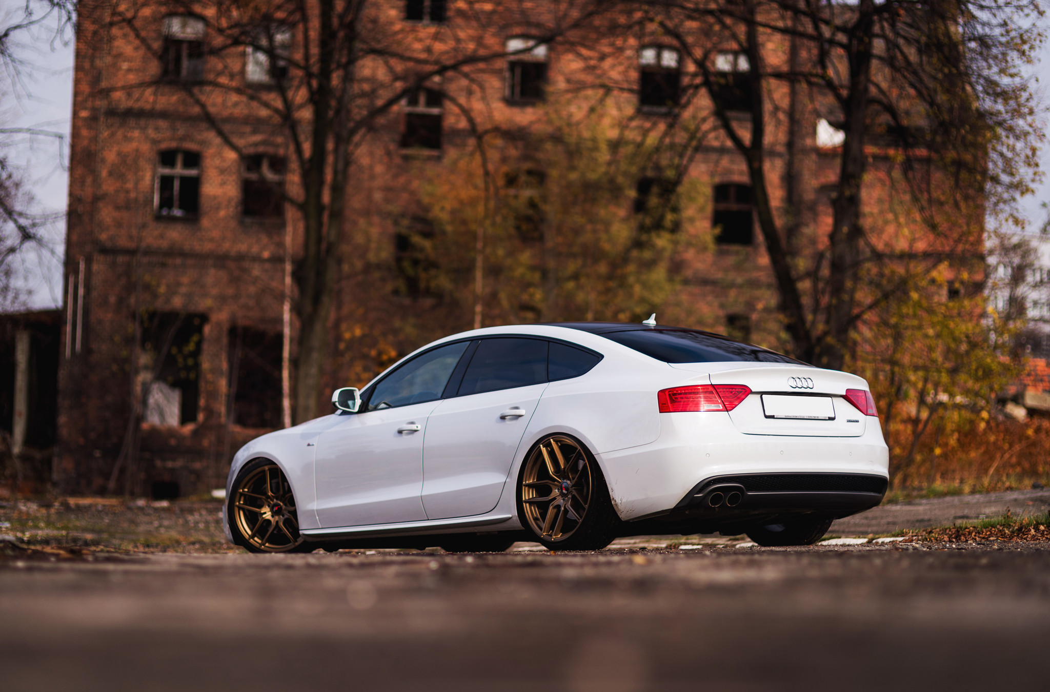 Red LED Taillights on White Audi A5 - Photo by JR Wheels