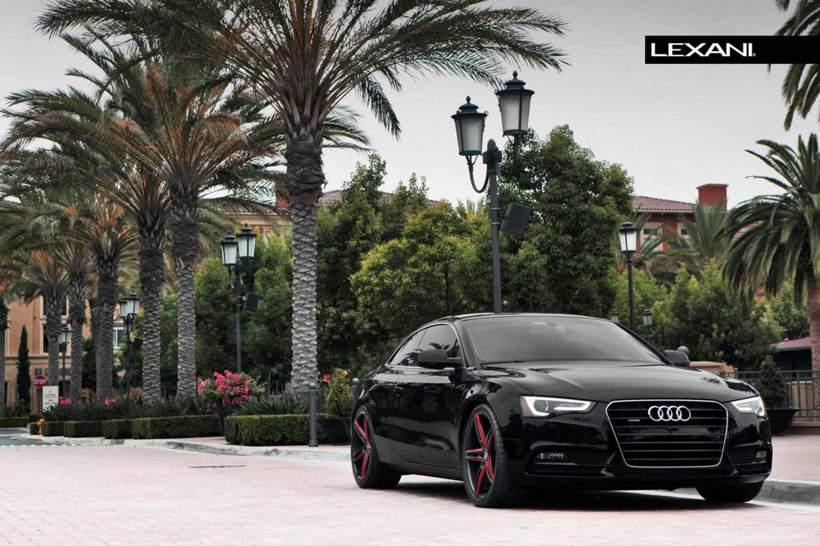 20 Inch Custom Rims on Audi A5 - Photo by Lexani