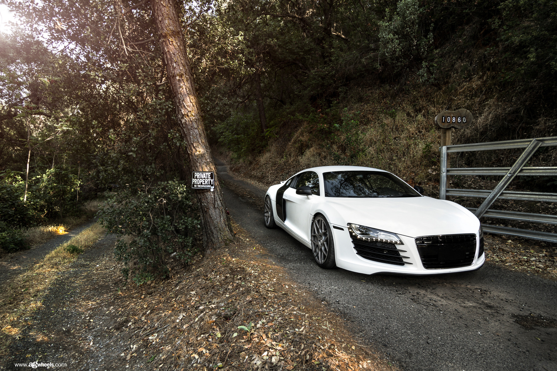 White Audi R8 With Black Grille - Photo by Avant Garde