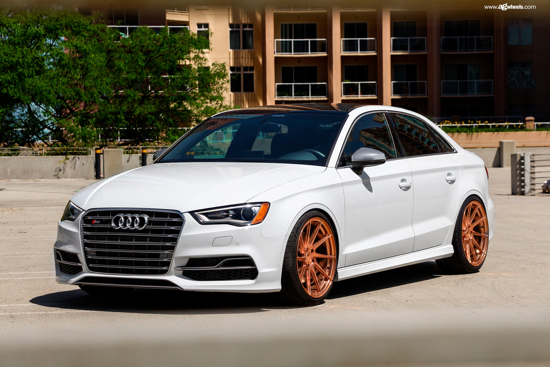 Audi S3 Rolling on Bronze Avant Garde Wheels - Photo by Avant Garde