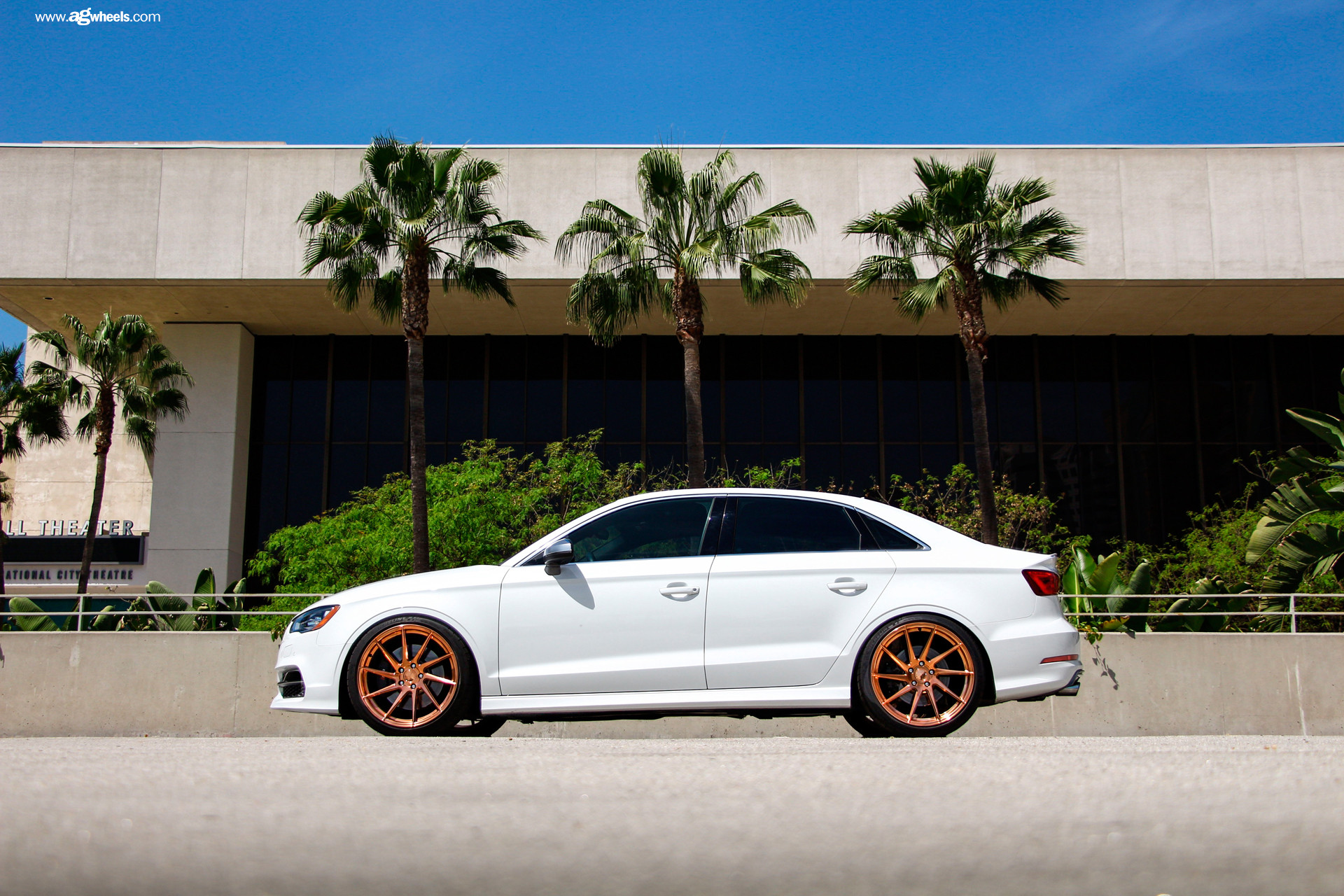 Audi S3 on Sport Coilovers - Photo by Avant Garde