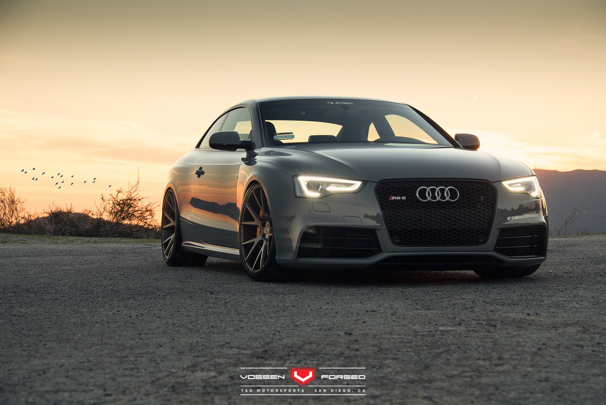 Ауди плохая. Audi RS s5. Audi rs5 природа. Audi rs5 на рабочий стол. Audi rs8 Сток сзади.