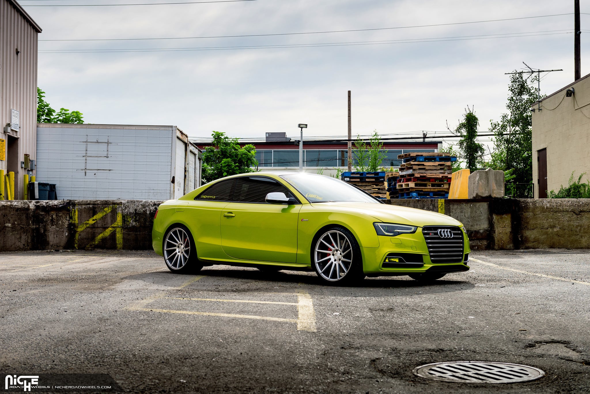 Snake Green Audi S5 Rolling on Niche Surge Wheels - Photo by Niche