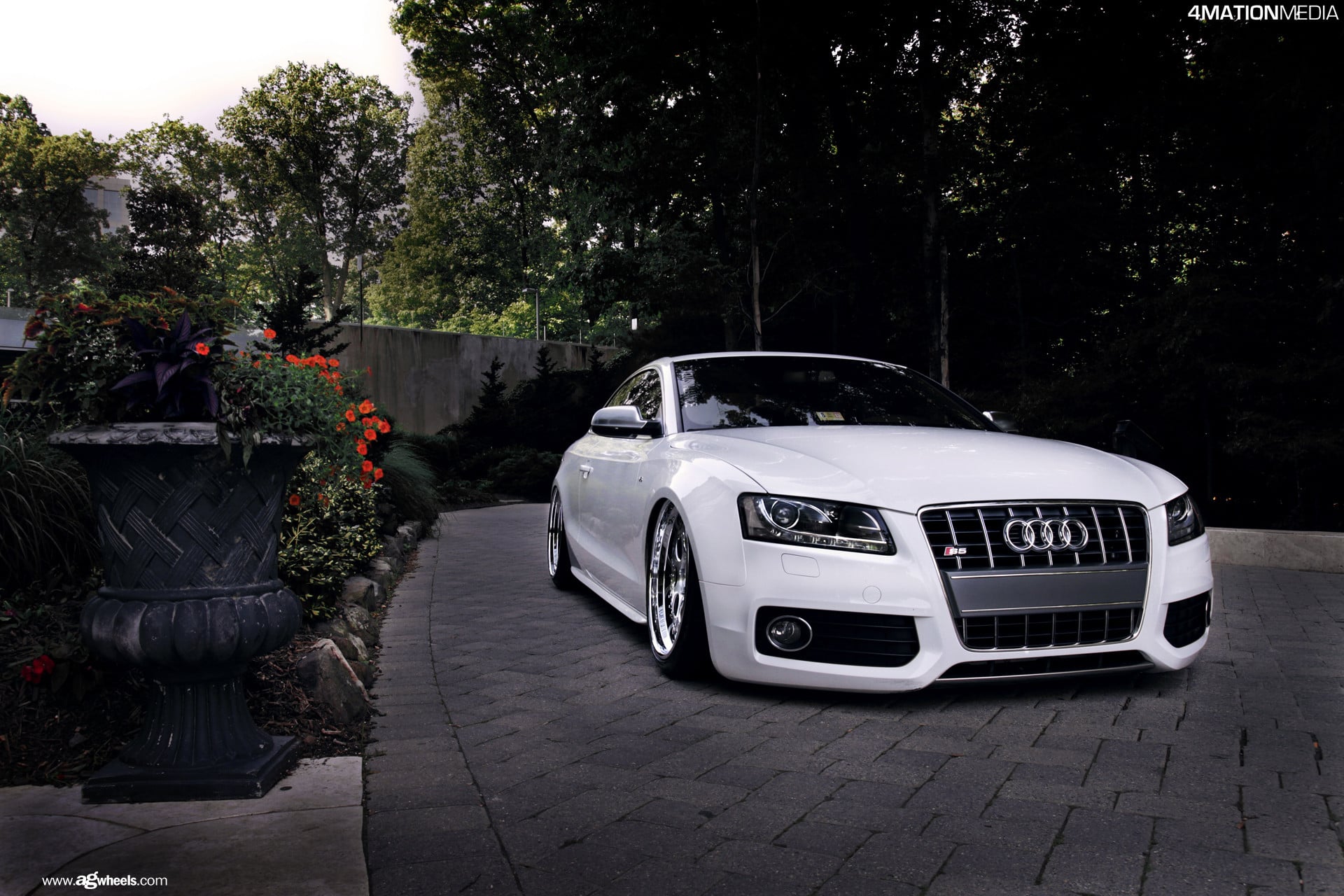 White Lowered Audi S5 with Chrome Grille - Photo by Avant Garde Wheels