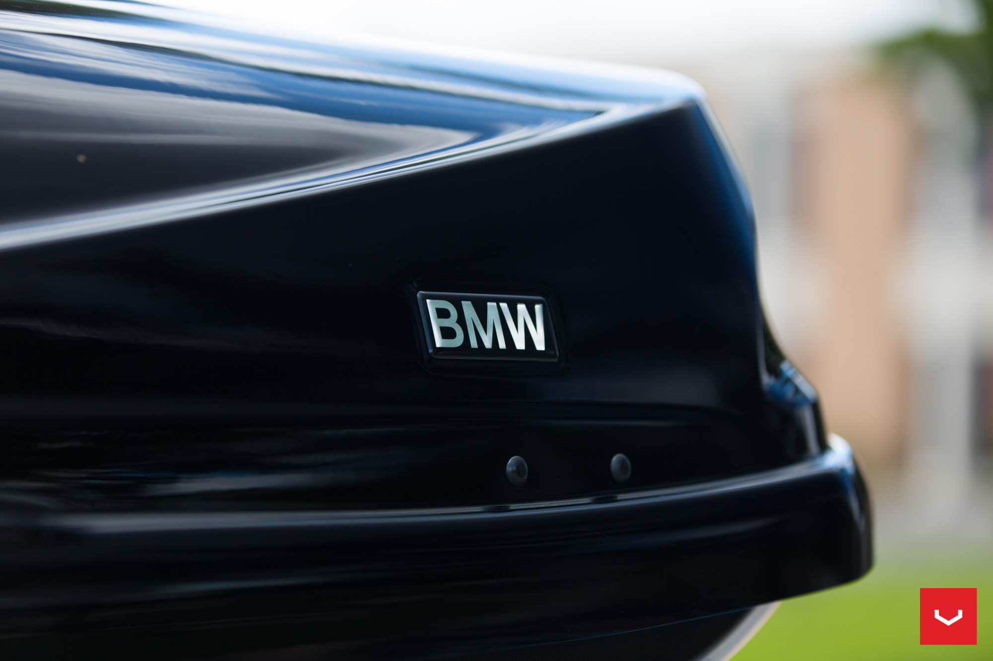 BMW Logo - Photo by Vossen