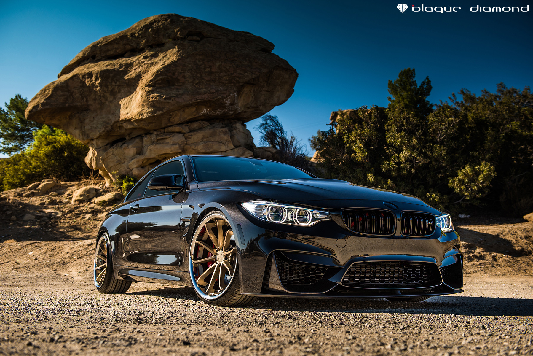 Stanced BMW M4 - Carnivorous Shark - Photo by Black Diamond
