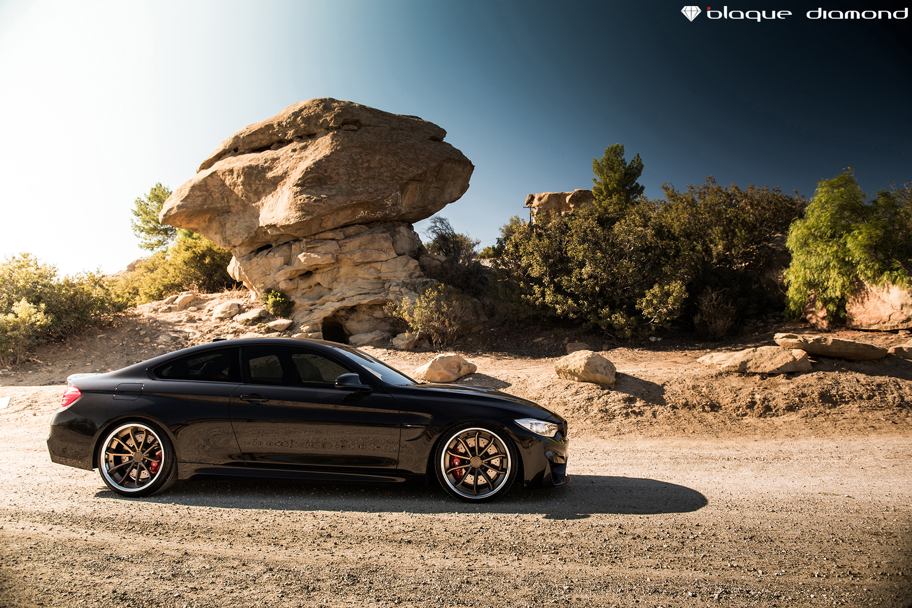 Black BMW M4 on Custom Wheels - Photo by Black Diamond
