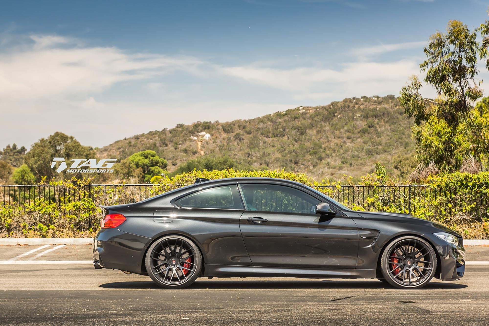 BMW m4 f82 Black Matte