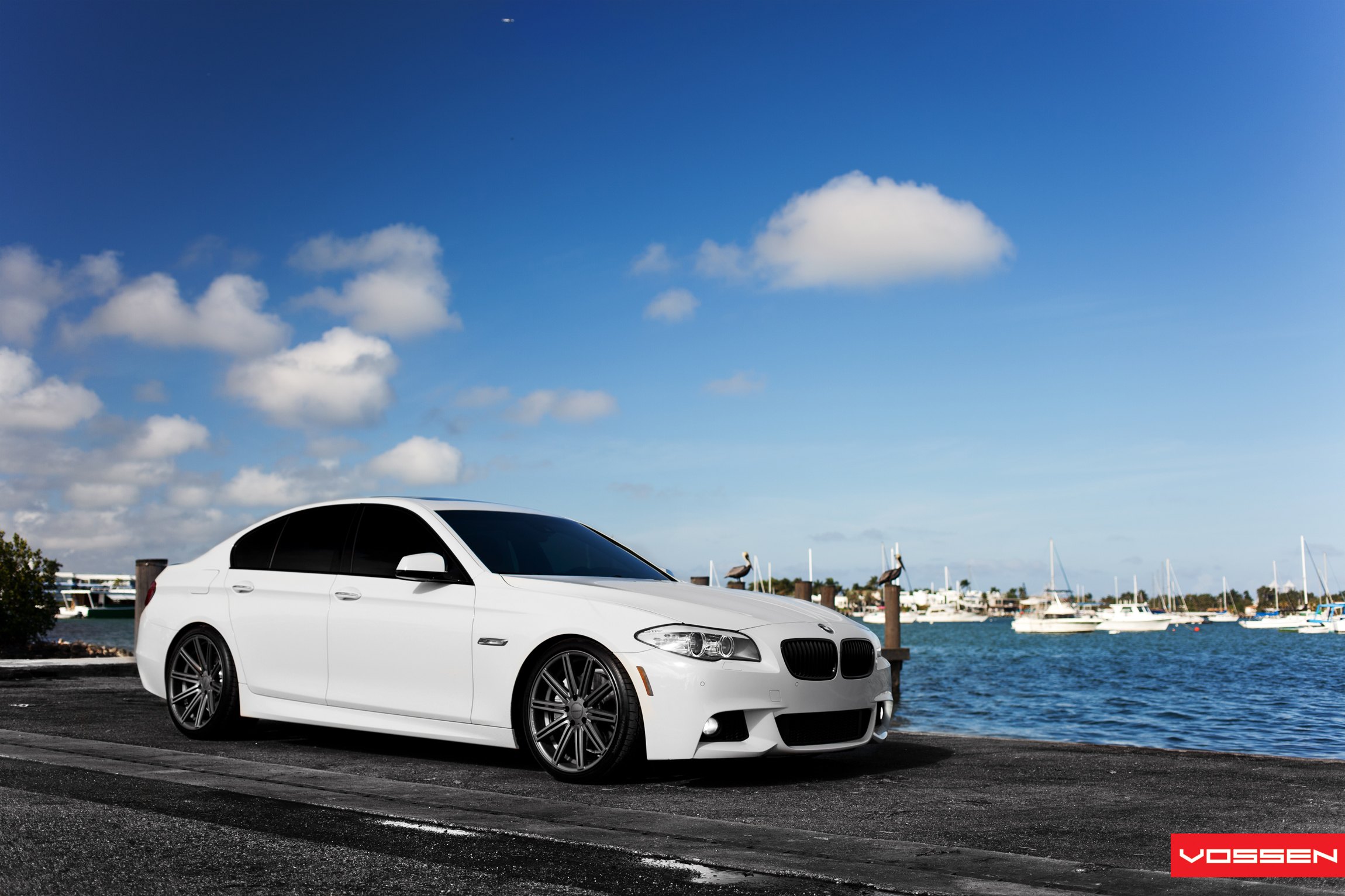 Белый цвет машины фото. BMW m5 White. BMW m5 f10. BMW f10 белая. BMW m5 белая.