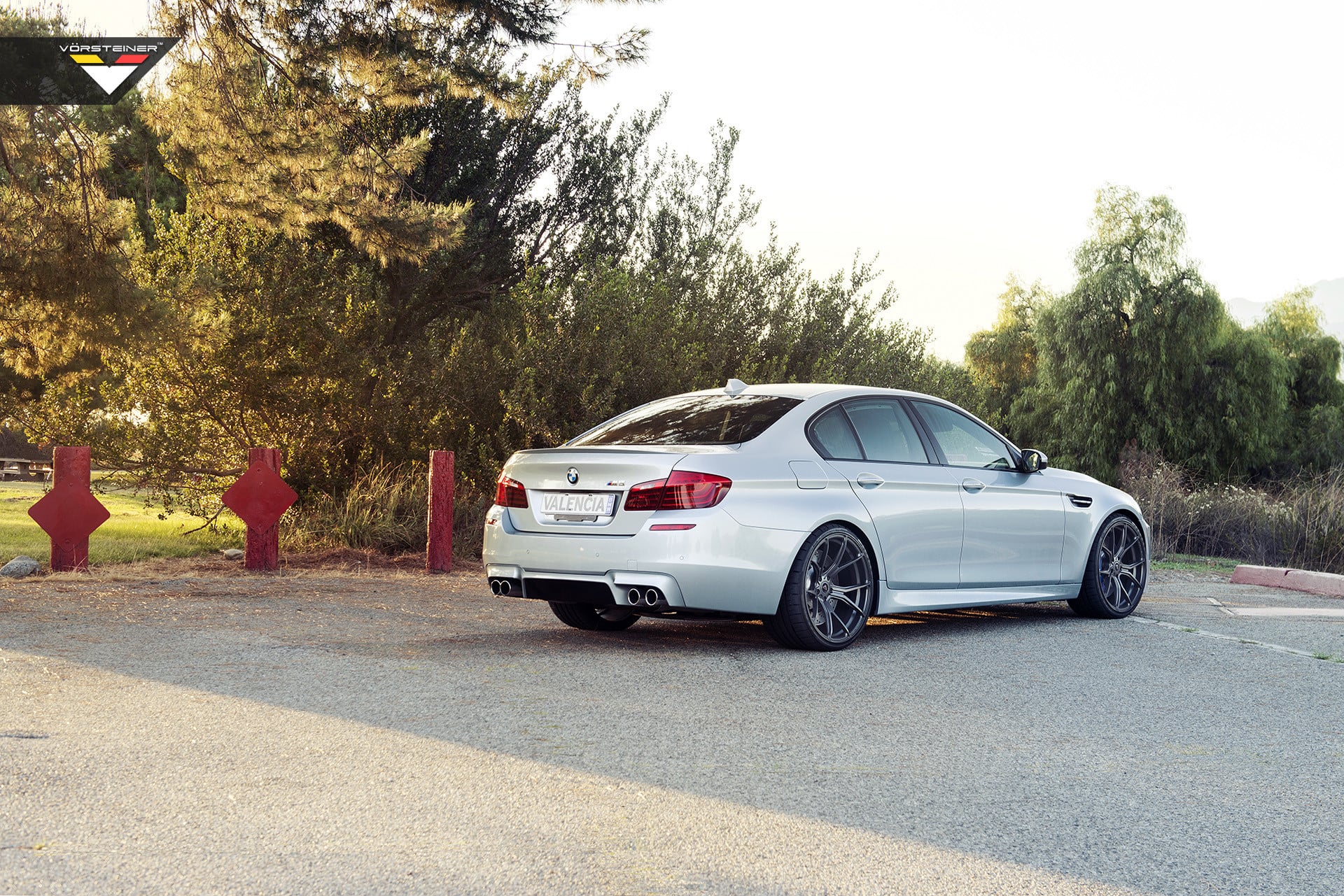 Aftermarket LED Taillights on Silver BMW 5-Series - Photo by Vorstiner