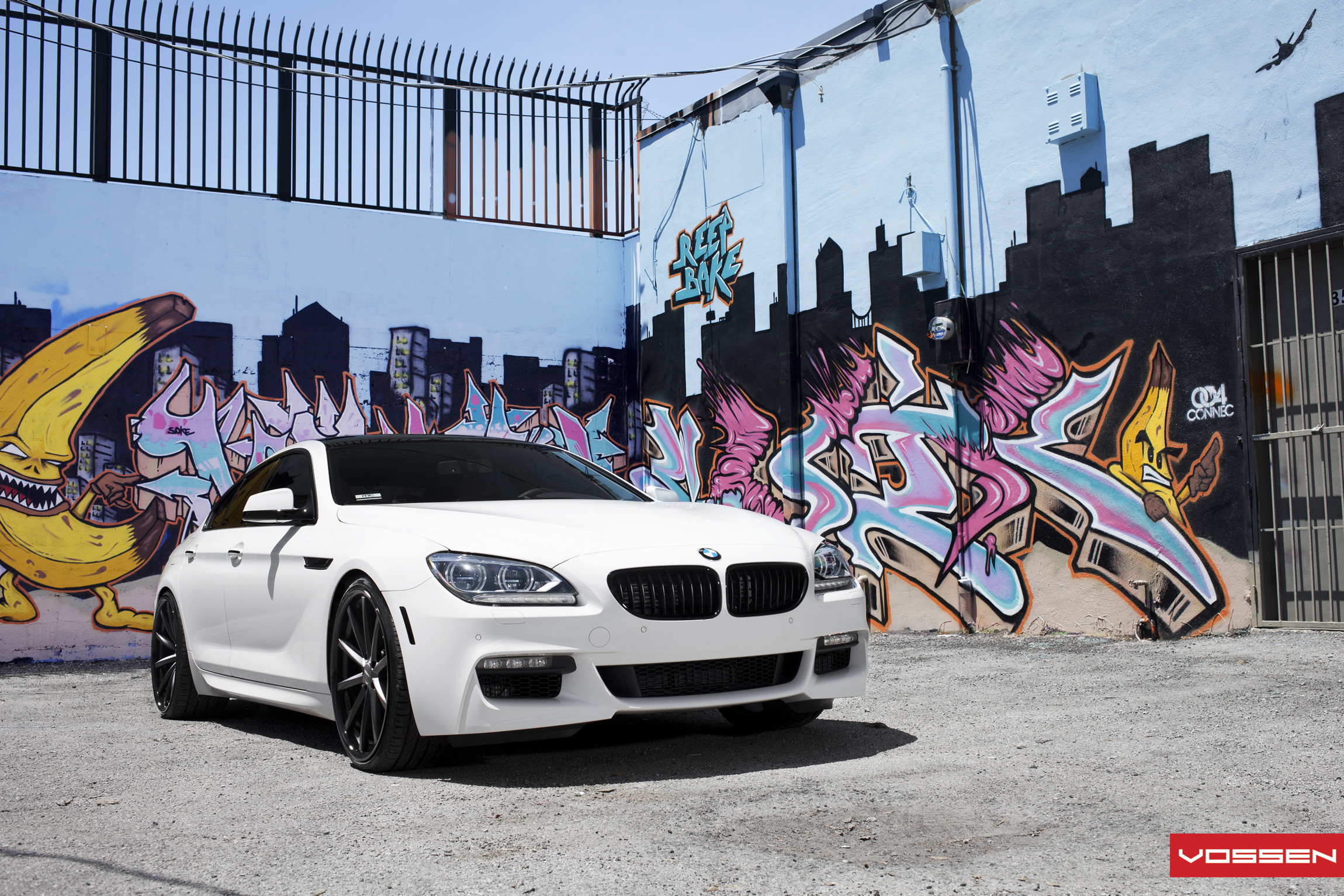 Blacked Out Custom Grille on White BMW 6-Series - Photo by Vossen
