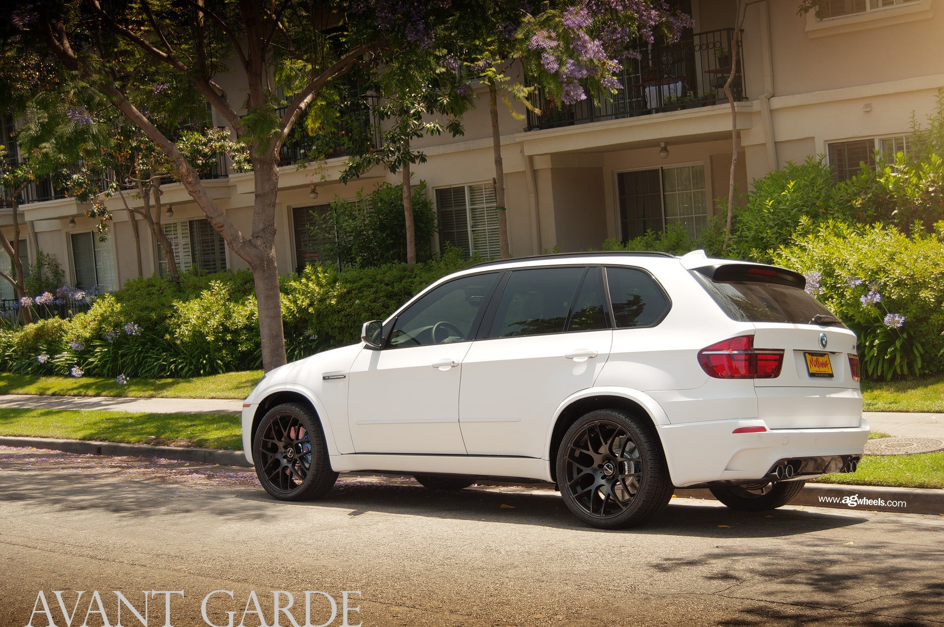 White BMW X5 with Matte Black Avant Garde Wheels - Photo by Avant Garde Wheels
