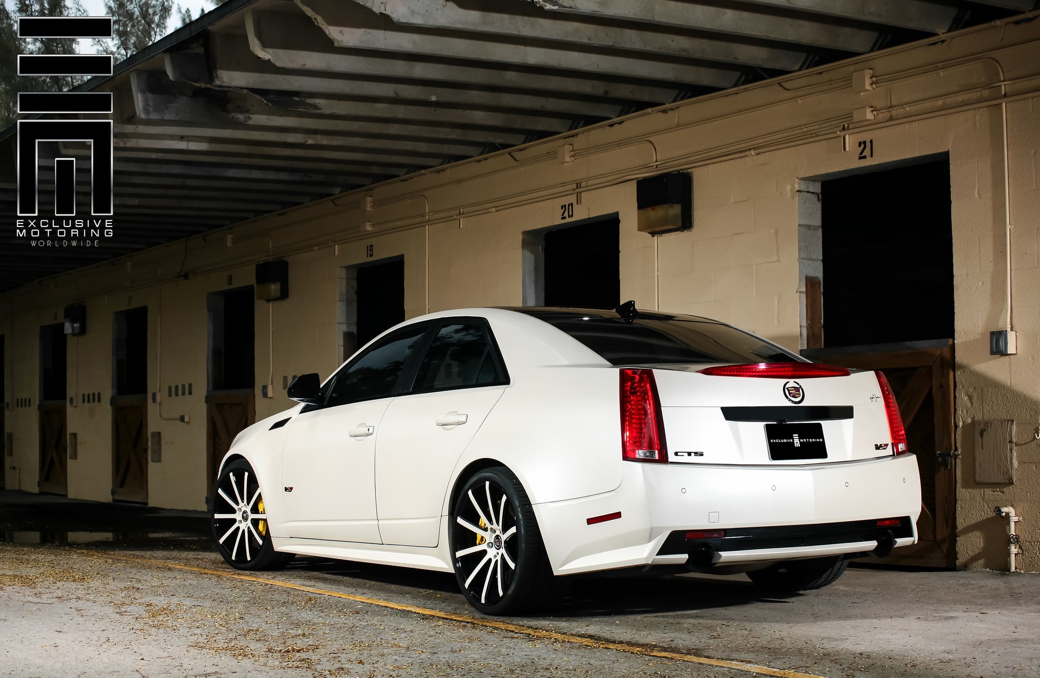 Cadillac CTS-V on custom painted wheels rear view - Photo by Exclusive Motoring
