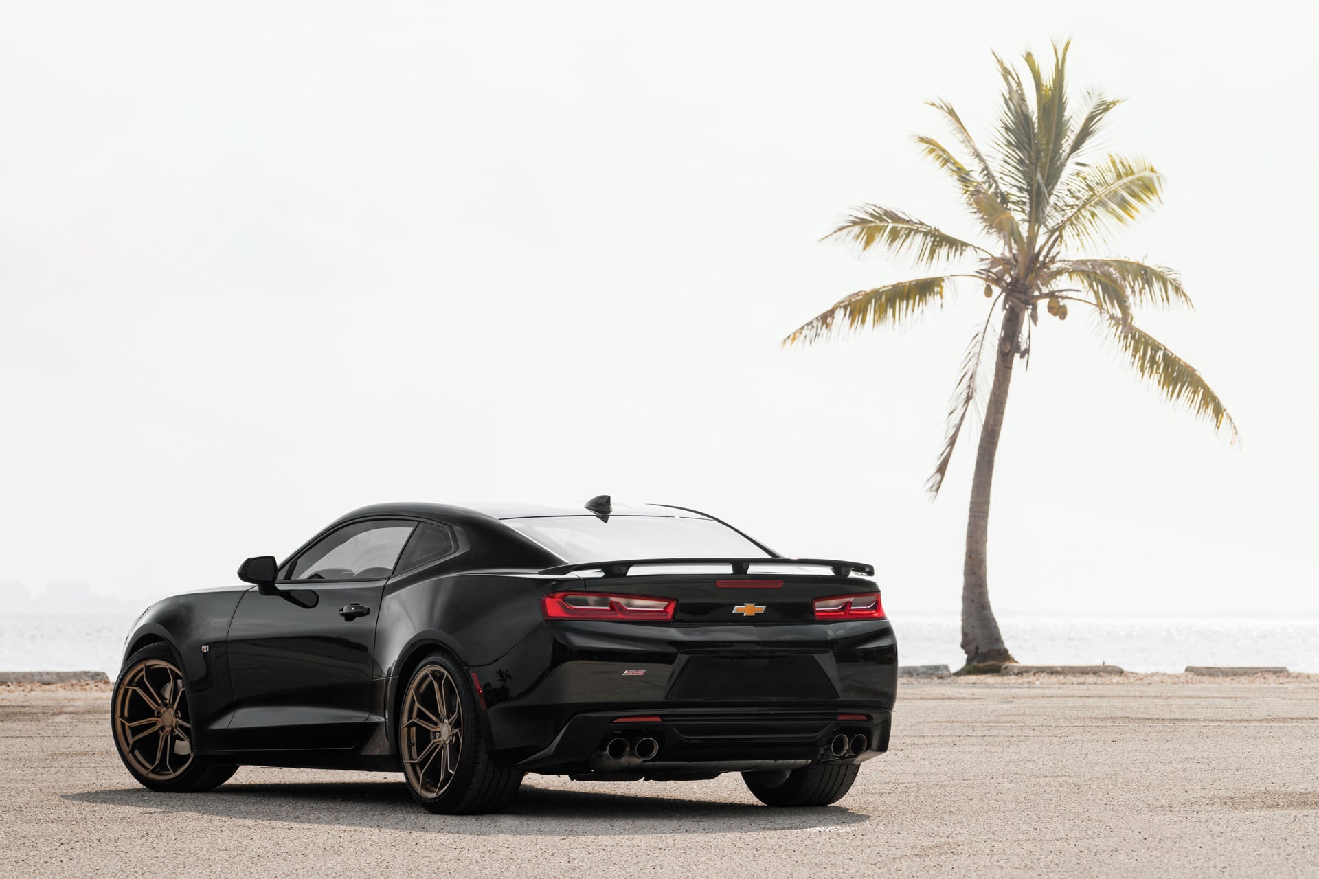 Avant Garde AGL32 Bronze Rims on Chevy Camaro - Photo by Avant Garde