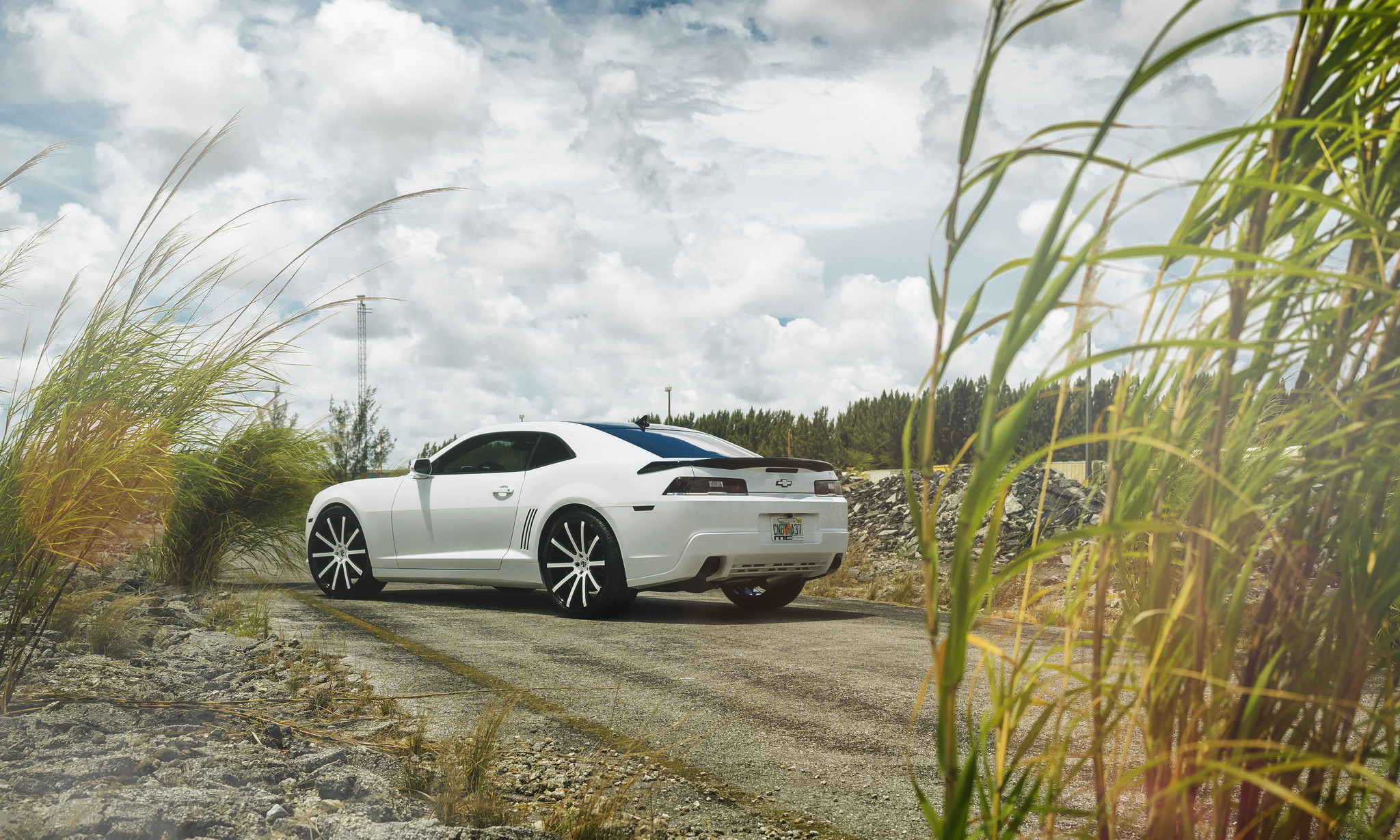 Chevy Camaro Smoked Taillights - Photo by XO Luxury