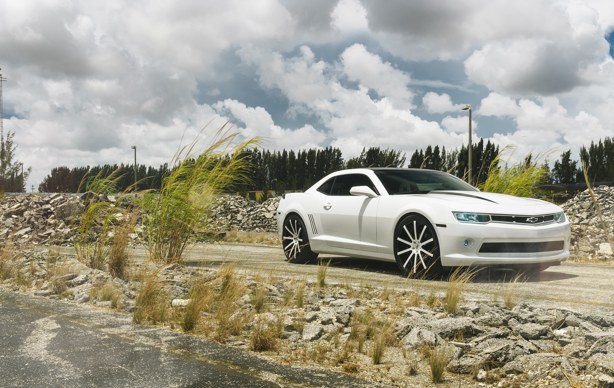 Chevy Camaro Custom Grille - Photo by XO Luxury