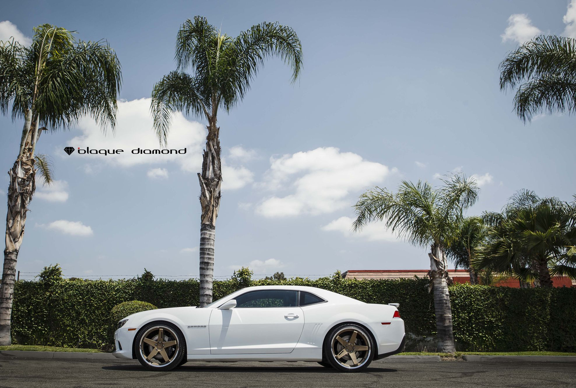 Custom White Chevy Camaro SS Side Skirts - Photo by Blaque Diamond