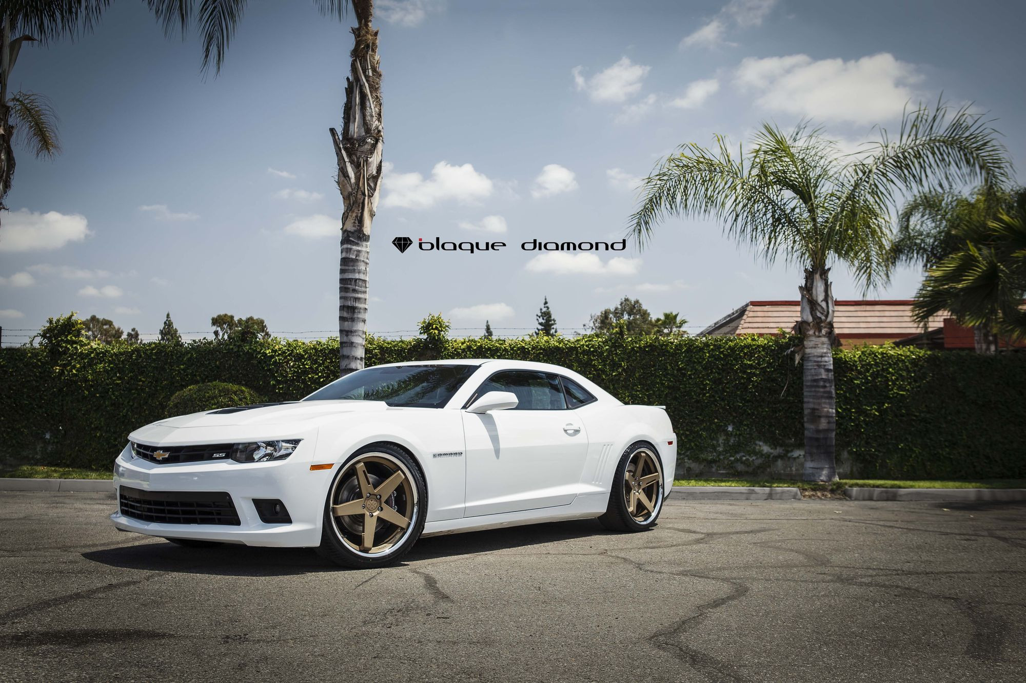 Aftermarket Headlights on White Chevy Camaro SS - Photo by Blaque Diamond