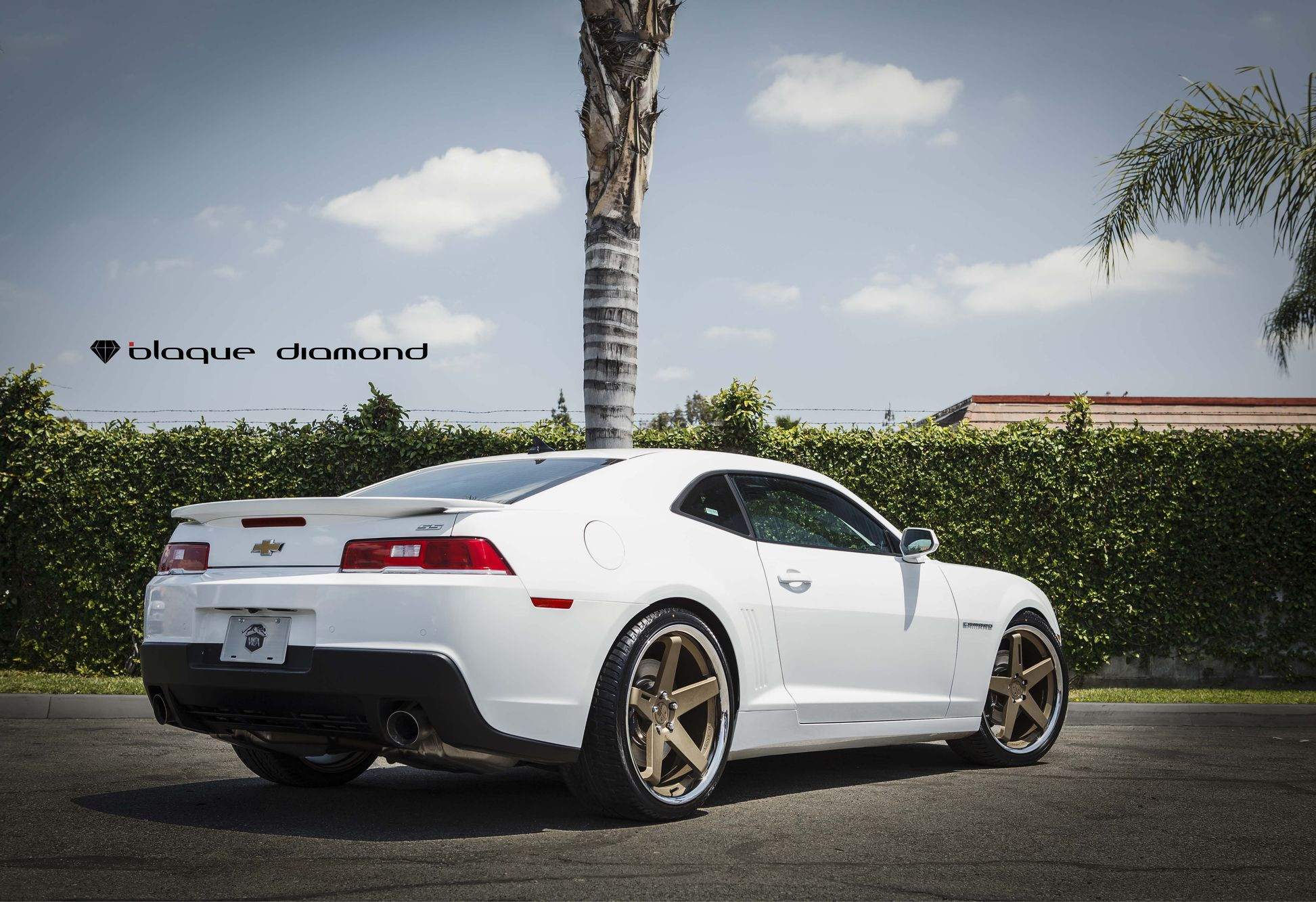 White Chevy Camaro with Custom Style Rear Spoiler - Photo by Blaque Diamond